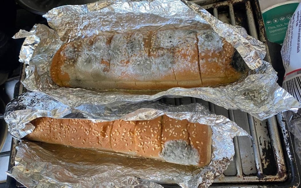 More complaints about Countdown Moorhouse selling expired food RNZ News