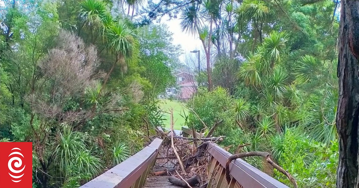 Flood-affected Aucklanders beg council to clean streams, mayor tells them it'll cost - Vimarsana News
