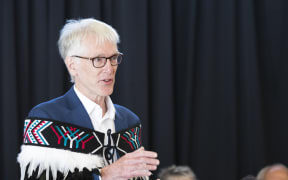Chief Human Rights Commissioner Paul Hunt