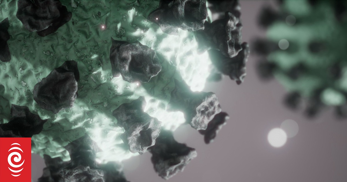Covid19 Fears the virus could ruin Christmas RNZ