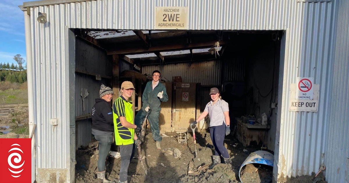 Student volunteers help farmers in flooded Hawke's Bay - Vimarsana News