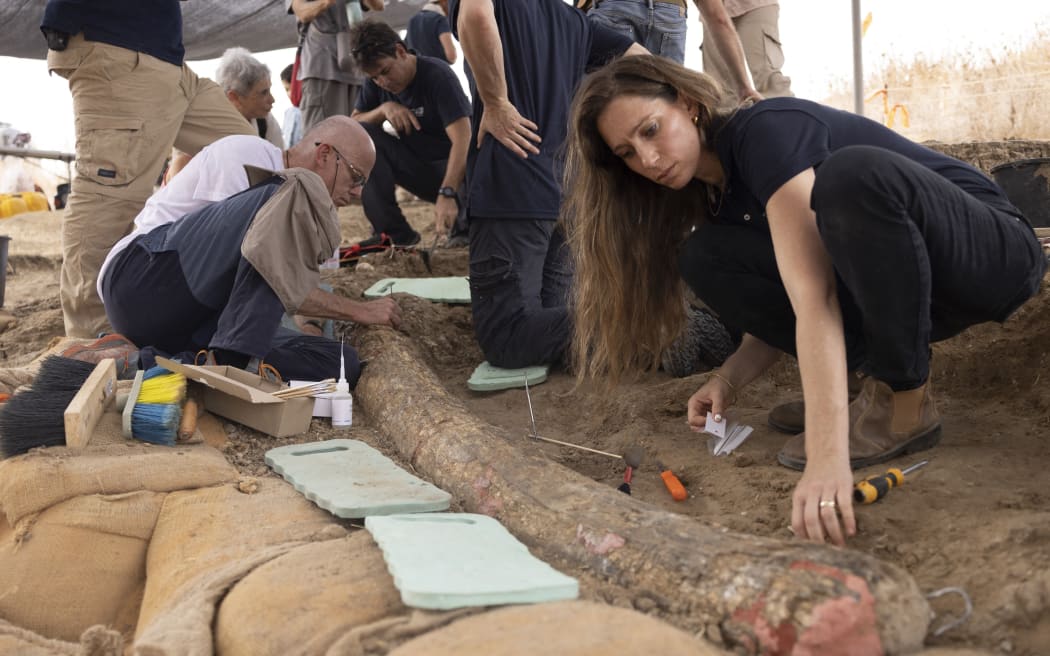 Archaeologists, paleontologists and conservators from Israel Antiquities Authority, Tel Aviv University and Ben Gurion University, work at the site where a 2.5-meter-long tusk from an ancient straight-tusked elephant (Palaeoloxodon antiquus) was discovered, near Kibbutz Revadim in southern Israel on August 31 2022. - Dr. Eitan Mor, a biologist from Jerusalem, was the first to discover the fossil. He visited the area out of curiosity after reading about prehistoric elephants. Mor says, “To my surprise, I spotted something that looked like a large animal bone peeping out of the ground. When I looked closer, I realised that it was ‘the real thing’, so I rushed to report it to the Israel Antiquities Authority". (Photo by MENAHEM KAHANA / AFP)
