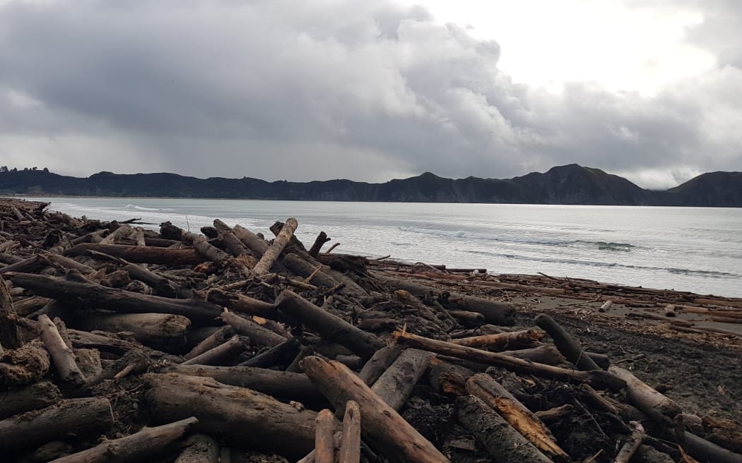 Forestry firm Ernslaw told to pay 355,000 over 'failure' that led to