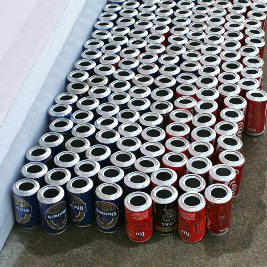 Beerhorses: the can-do DIY solar heating solution | RNZ
