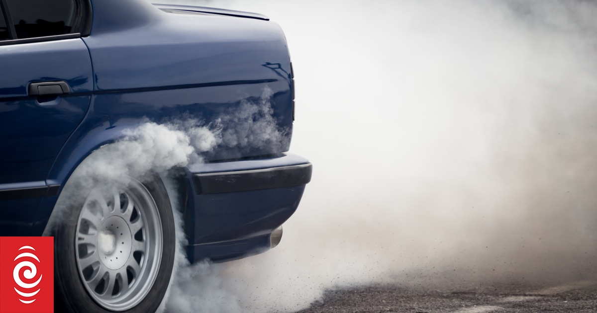 Boy racers' weekend of fun causes $70,000 of damage to Palmerston North street - Vimarsana News