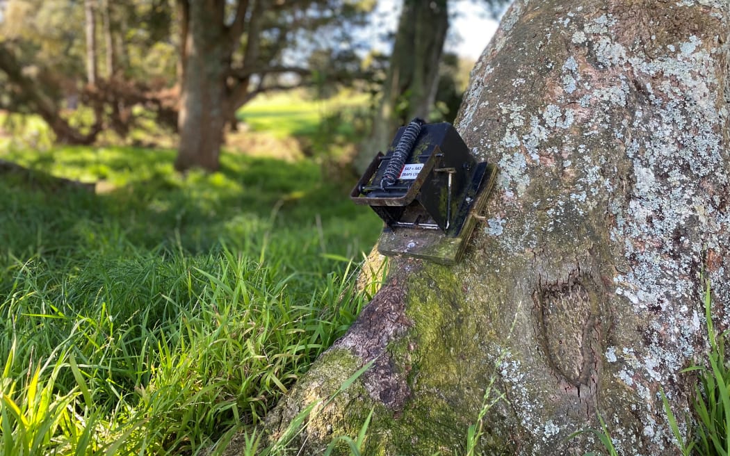 Geoff has a range of different traps to ensure he doesn't miss a catch.