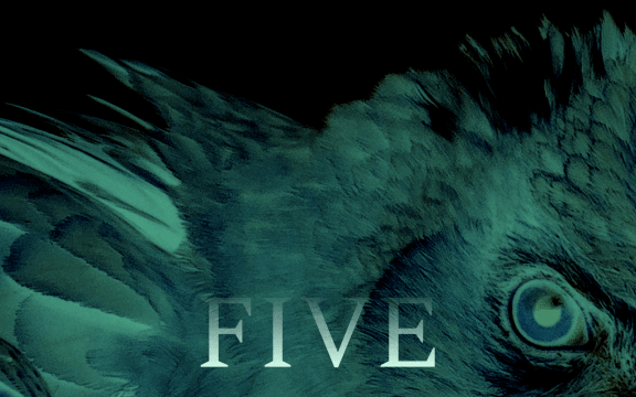 Ghostly sickly green feathers are reminiscent of churning water, in the corner is a staring avian eye. The word "Five" is imposed over the image.