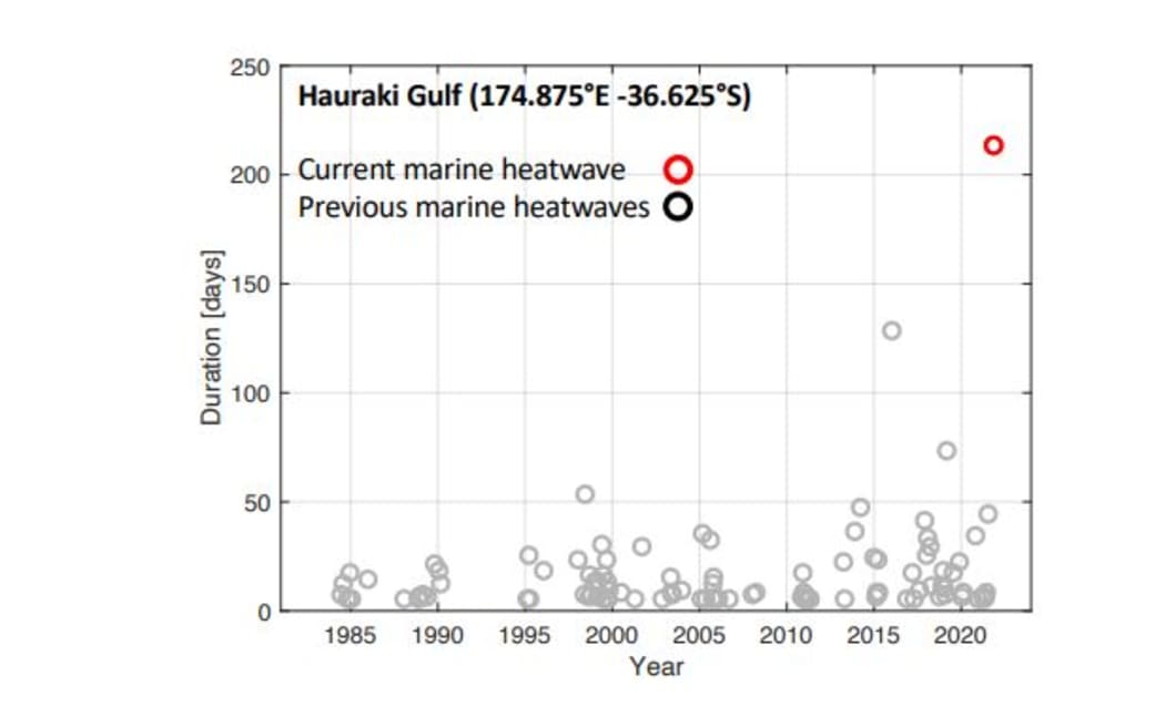 Заливът Хаураки, заедно с голяма част от западното и източното крайбрежие на север от Окланд, са преживели умерена до тежка морска гореща вълна.