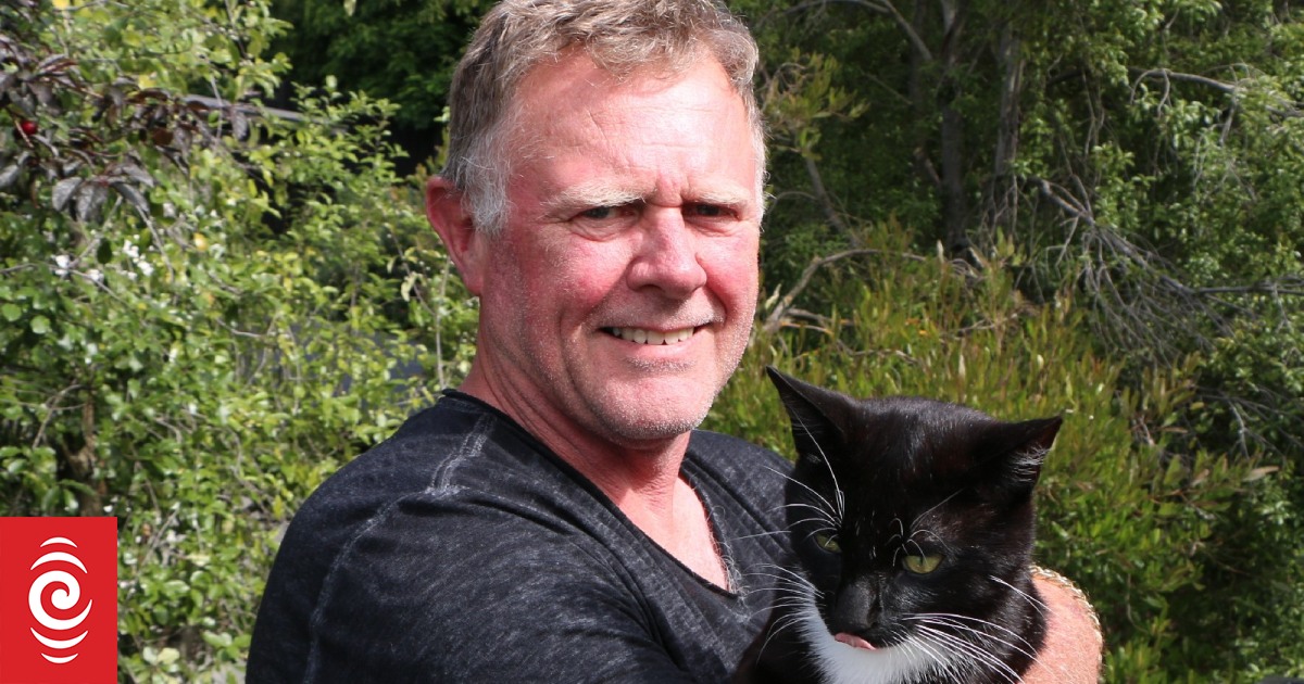 How a stray Chatham Islands cat found a new life in Christchurch