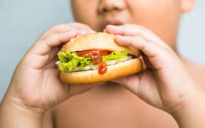 An obese child eats a hamburger