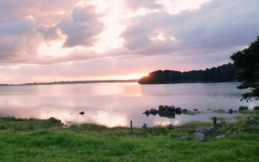 Lake Ōmāpere, near Kaikohe has been badly degraded by land use in the area, pest weeds and algal blooms.