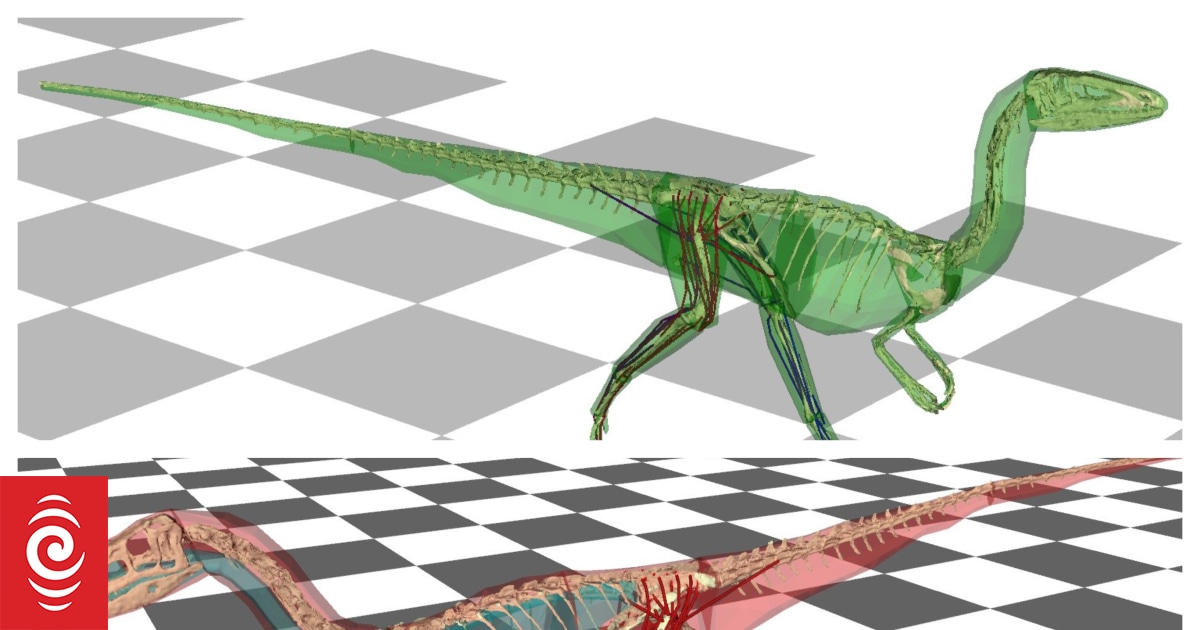 Some Dinosaurs May Have Wagged Their Tail to Help Them Run