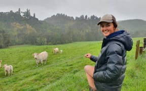 Heather Gee-Taylor with her Charolais cattle