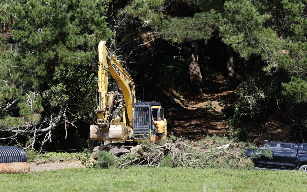 timber companies in cameroon Harvesting trees on Queen Charlotte Dr - single use only