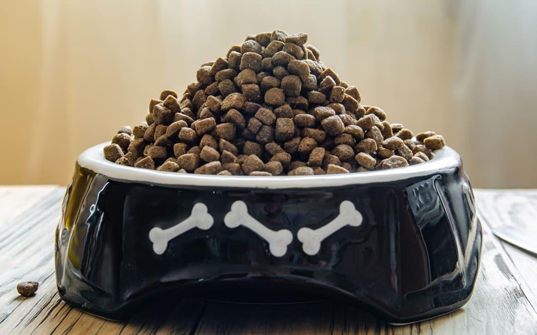 Full bowl of dog food close up on wooden background, pet food