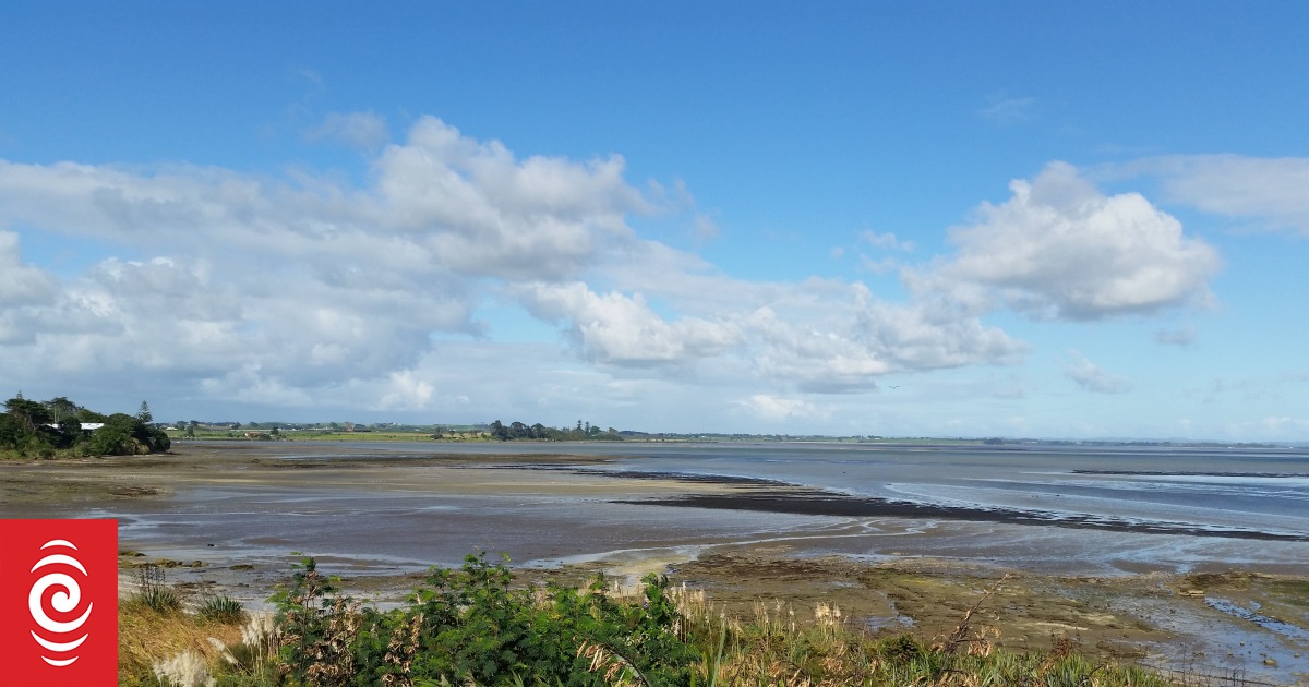 Man who drowned in Manukau Harbour named RNZ News