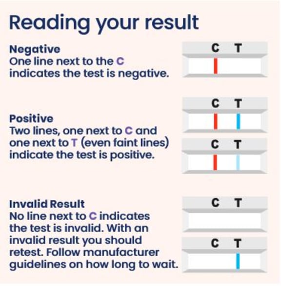 how-to-take-a-rat-test-and-try-to-avoid-false-negative-results-rnz-news