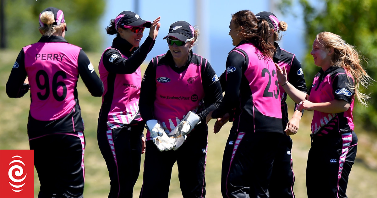 White Ferns Win T20 | RNZ News