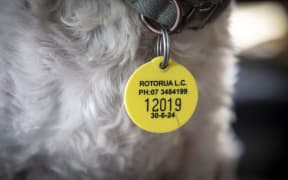 All Rotorua dogs need to have an up-to-date registration tag.