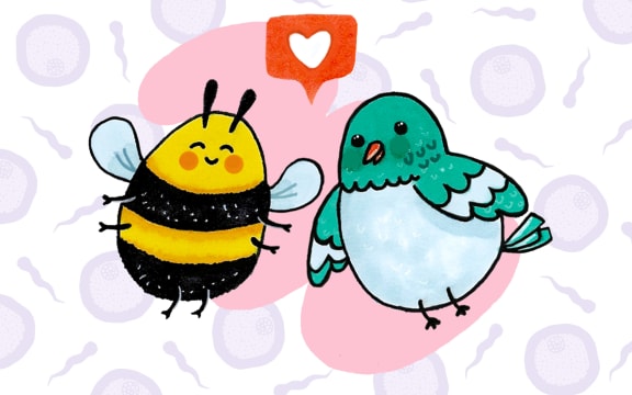 The Birds and The Bees. Illustration by Pinky Fang.
