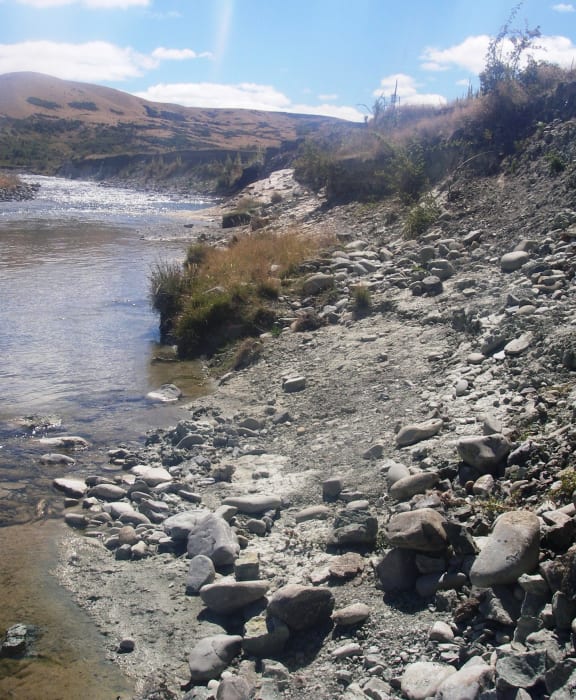 This stretch of the Manuherikia River in Otago is one of New Zealand's richest fossil sites, and 16-19 million years ago it was the shore of a giant lake.