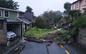 A large slip has affected houses on Brewster Street, Napier.