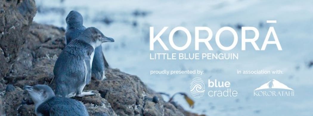 Kororā: Little Blue Penguin