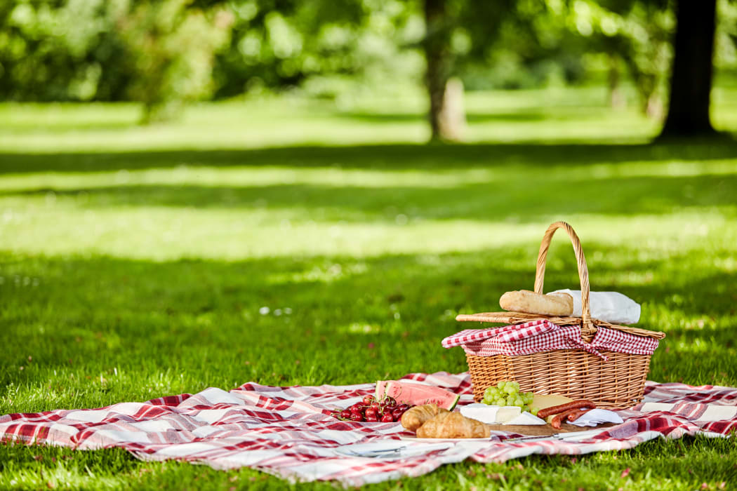 the-picnic-period-a-sign-of-our-covid-19-times-rnz-news