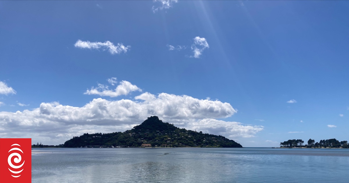 Project to build new bridge in Tairua to expand trail network RNZ