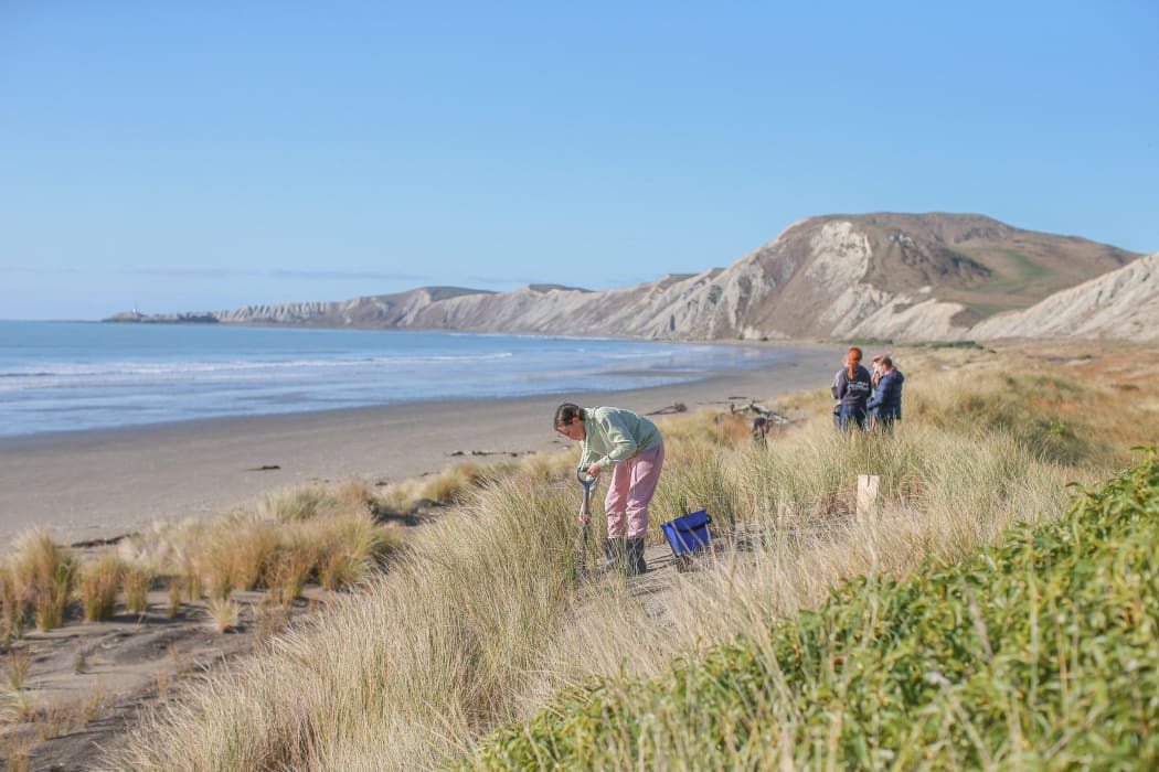 Council raises concerns over lack of guidance on biodiversity proposal’s implementation