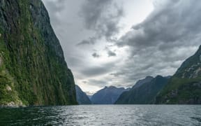 steep coast in the mountains at milford sound, fjordland national park, southland, new zealand