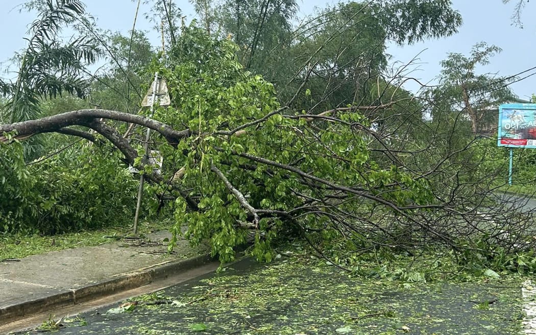 This handout picture taken on March 1 and released by Oliver Blinks through his Instagram handle @blinnx shows a road blocked by an uprooted tree after Cyclone Judy made landfall in Port Vila.