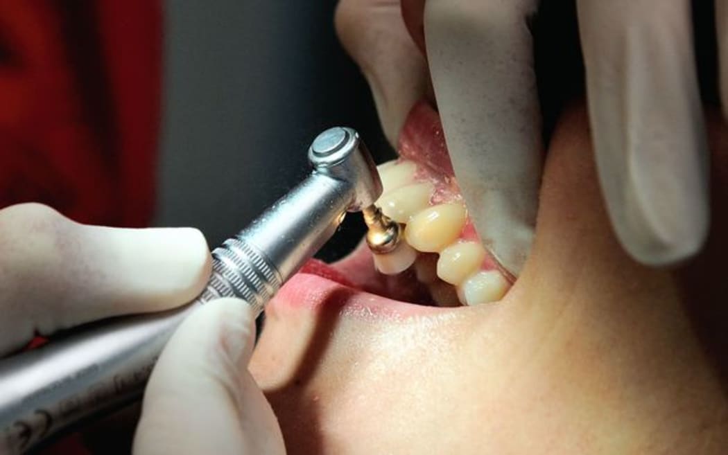 Growing teeth could be the future of dentistry.