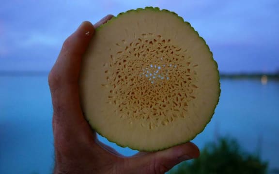 Pandanus fruit 