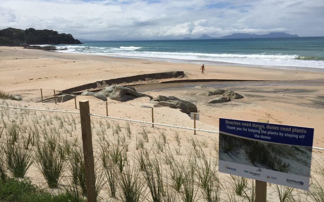 Possible coastal retreat in Whangārei communities