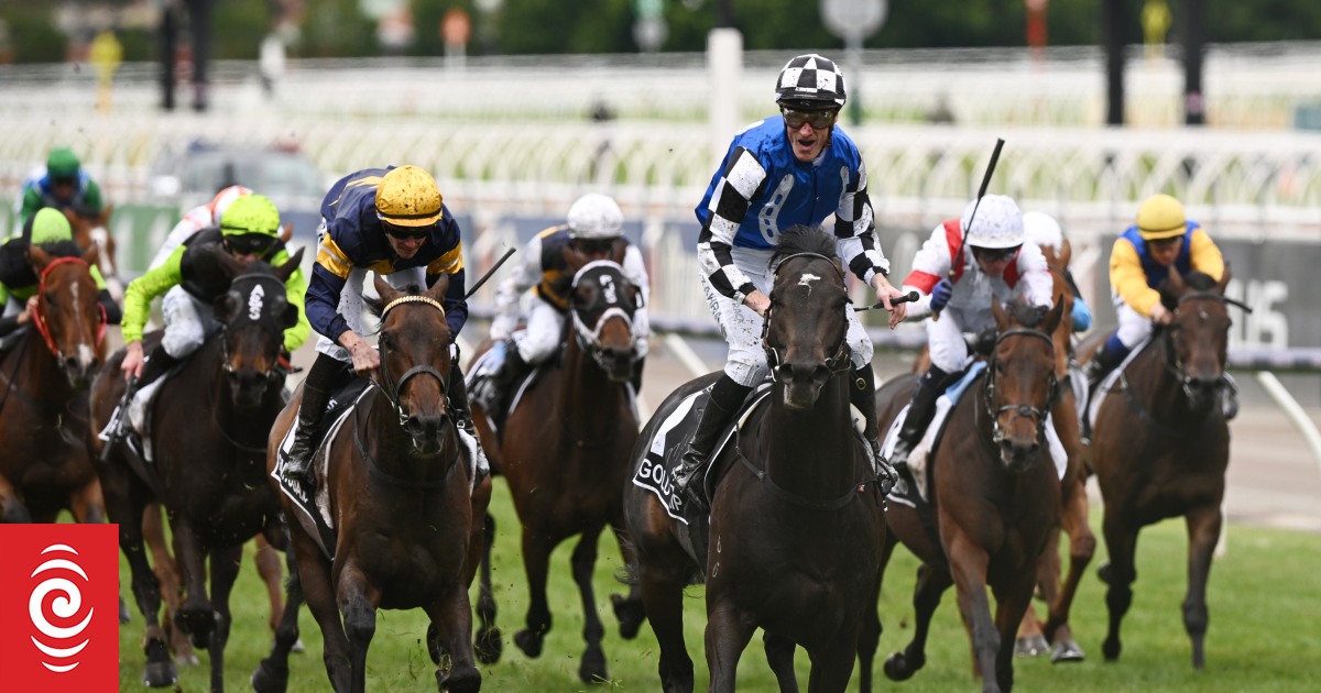 Vauban primed to build on Irish Melbourne Cup legacy - Vimarsana News