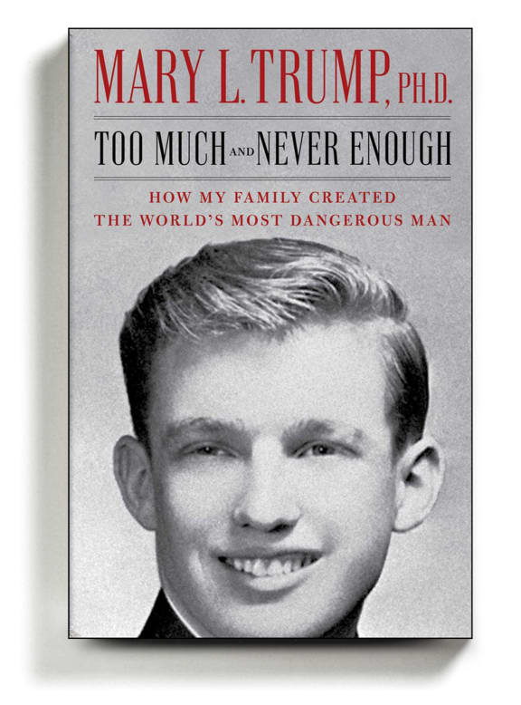 Too Much and Never Enough book cover
