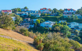 Residential houses on Bluff hill in Napier, New Zealand