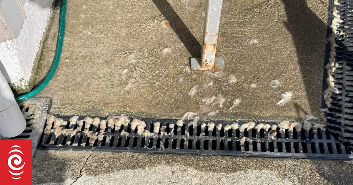 Toilet paper, faeces in the backyard: fix in sight for sewage woes - Vimarsana News