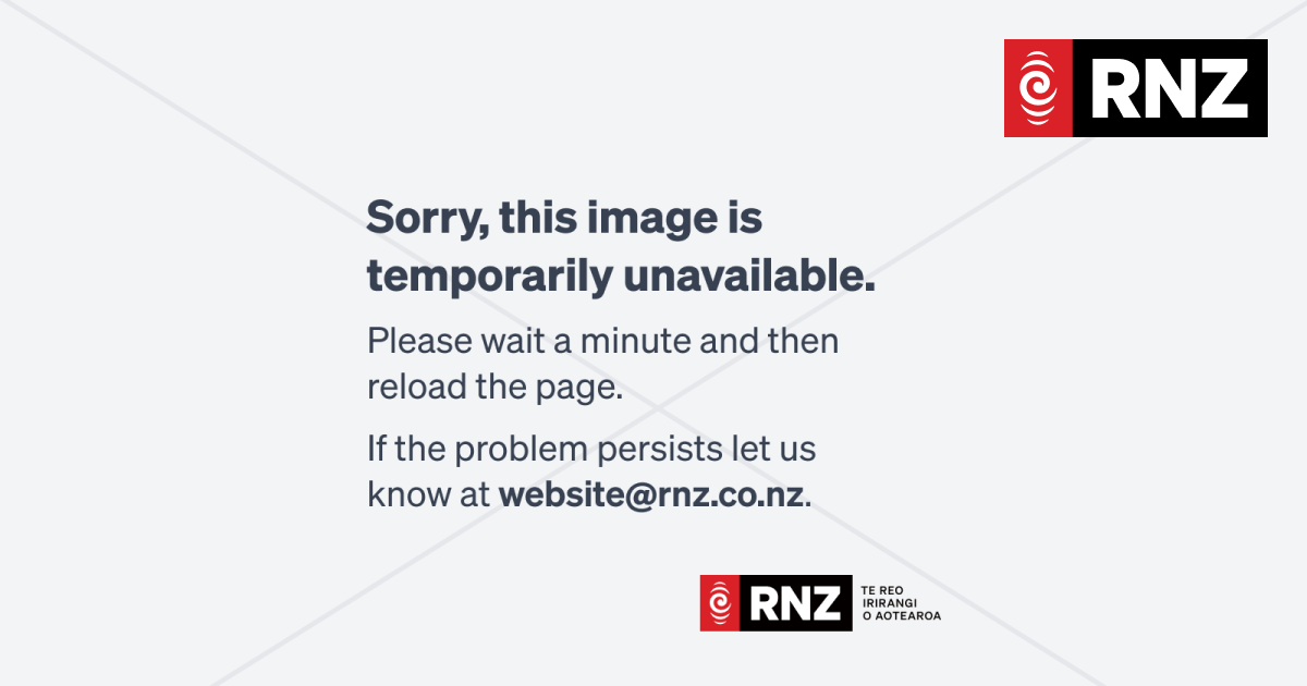 Wellington train disruptions: Review flags need for more funding - Vimarsana News