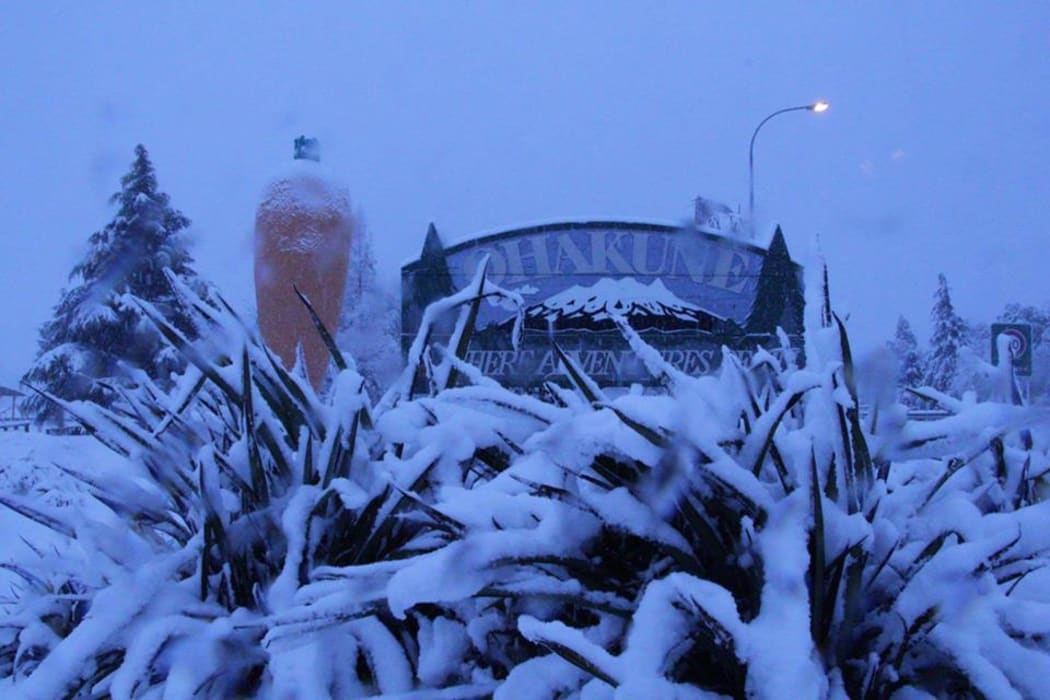 Ohakune's town sign and famous carrot covered in snow after the mid-July storm swept through.