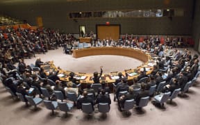 The UN Security Council during a meeting on 30 December 2014 in New York.
