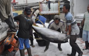 Tuna fishing