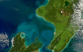 Eddies of water from rivers in Golden and Tasman Bay reach more than 100 kilometres out into greater Cook Strait.