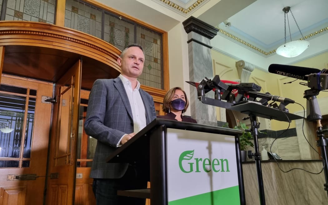 Green Party co-leaders James Shaw and Marama Davidson.