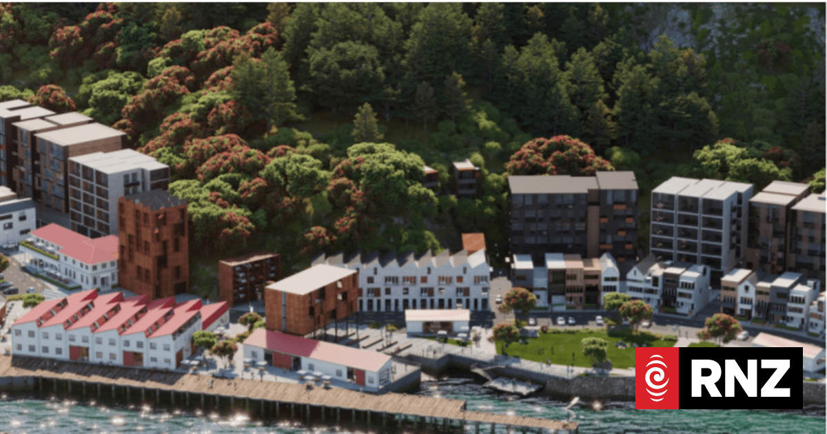 Wellington council spends $800k on controversial redevelopment | RNZ