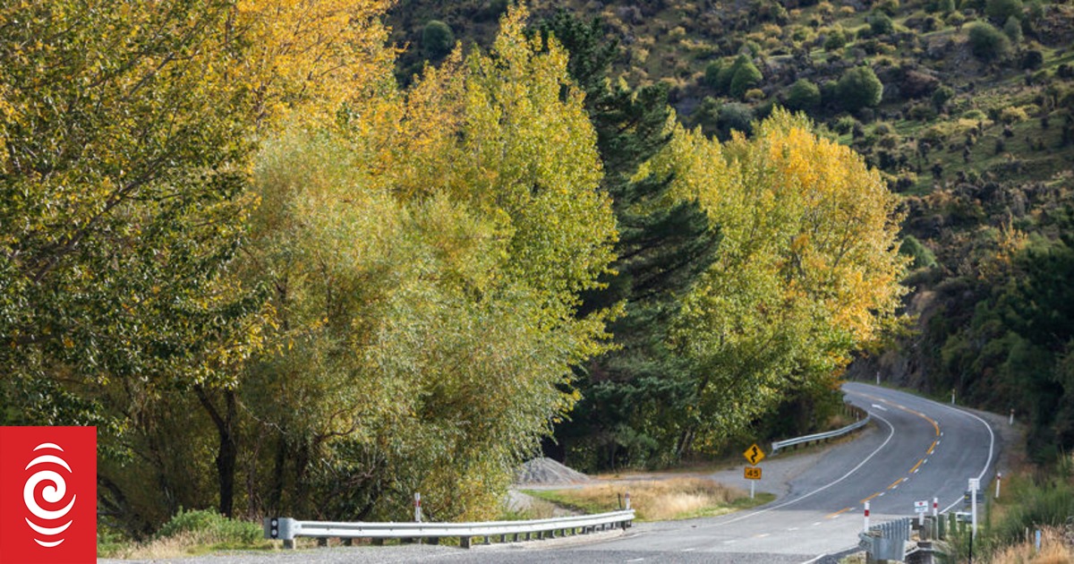 Revamp for dangerous Whangarei intersections RNZ News