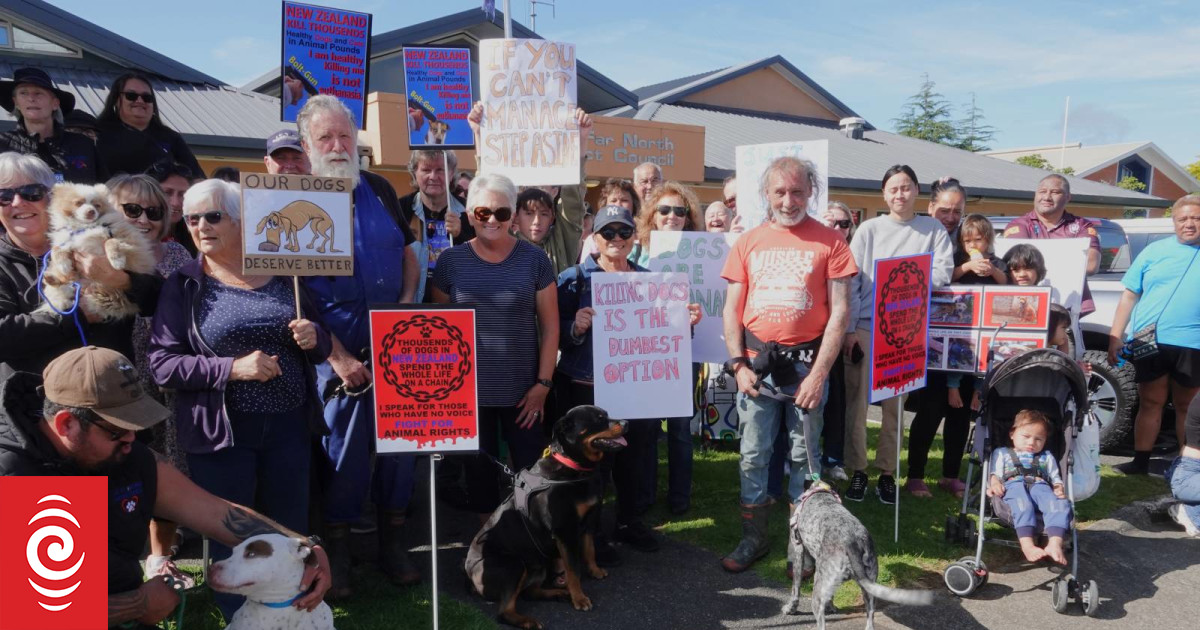 Far North council’s treatment of dogs challenged at protest