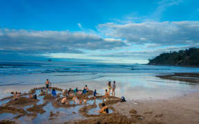 Tourists digging their own hot springs in Hot Water Beach, Coromandel, in 2017.
