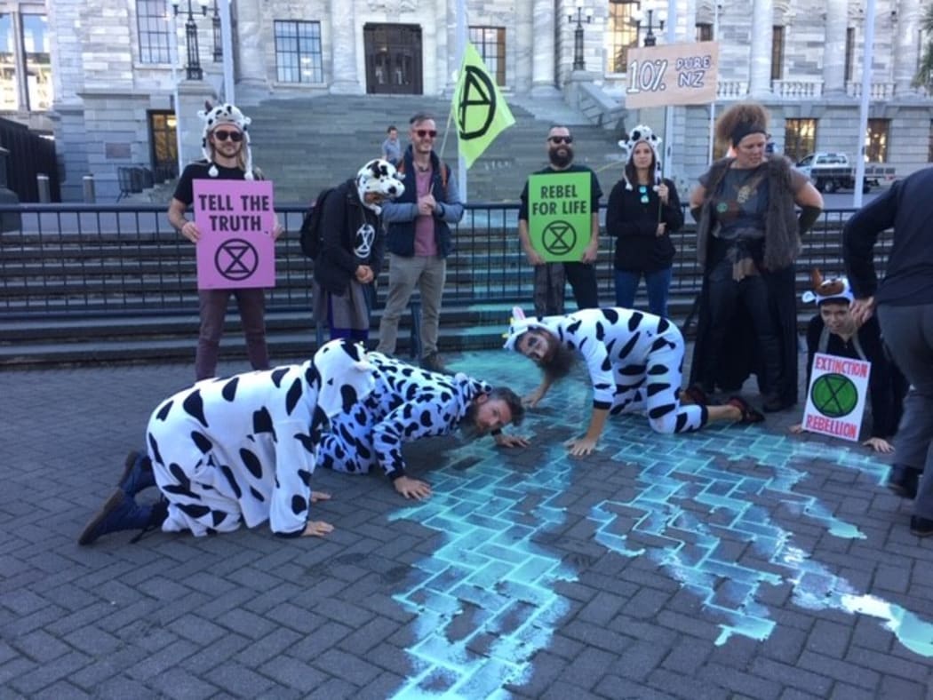 Extinction Rebellion protesters at Parliament today.
